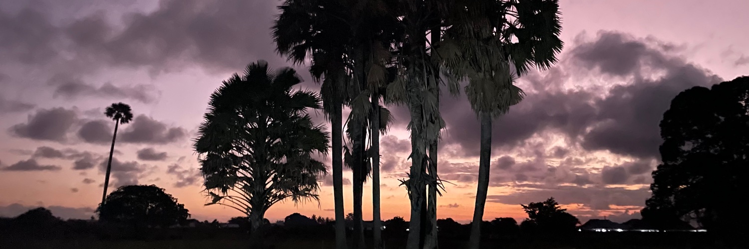 juliebottle's profile banner image