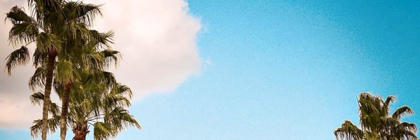 _Picasso13 Profile Banner