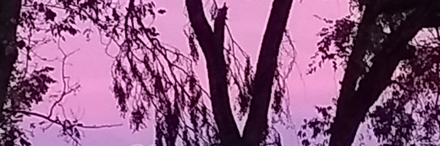 mixdcurls's profile banner image