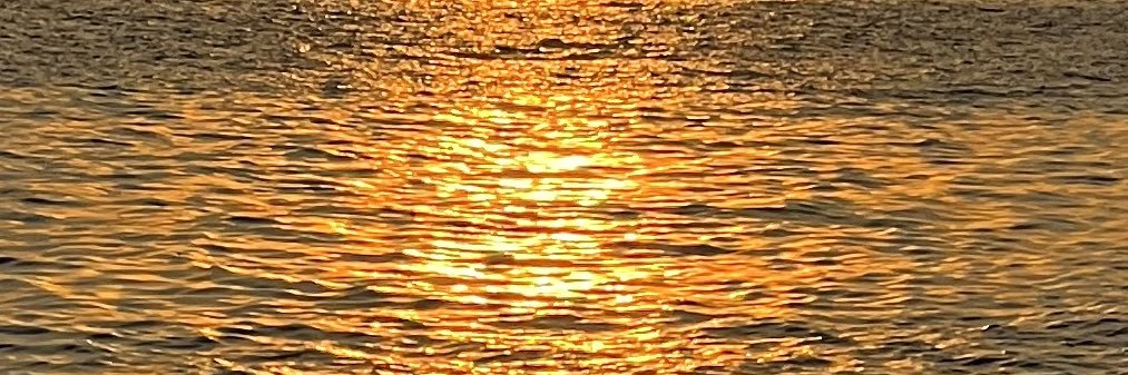 ttrd23's profile banner image