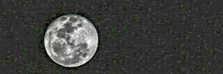 hanan_dl3's profile banner image