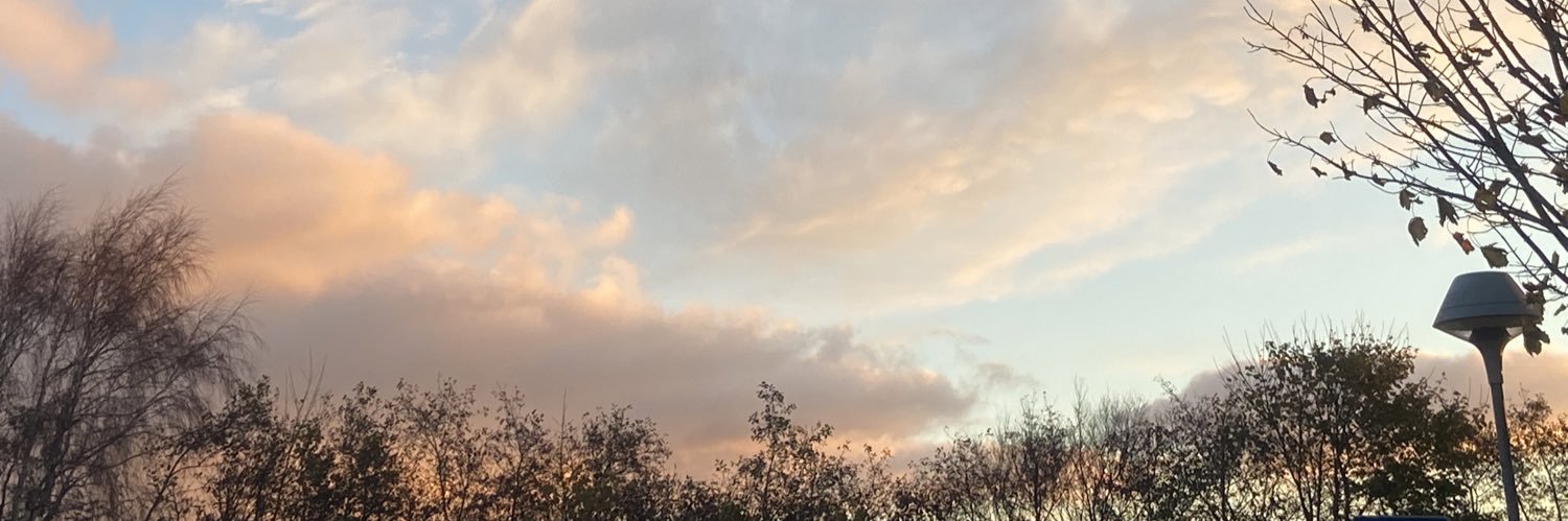 katrocius's profile banner image