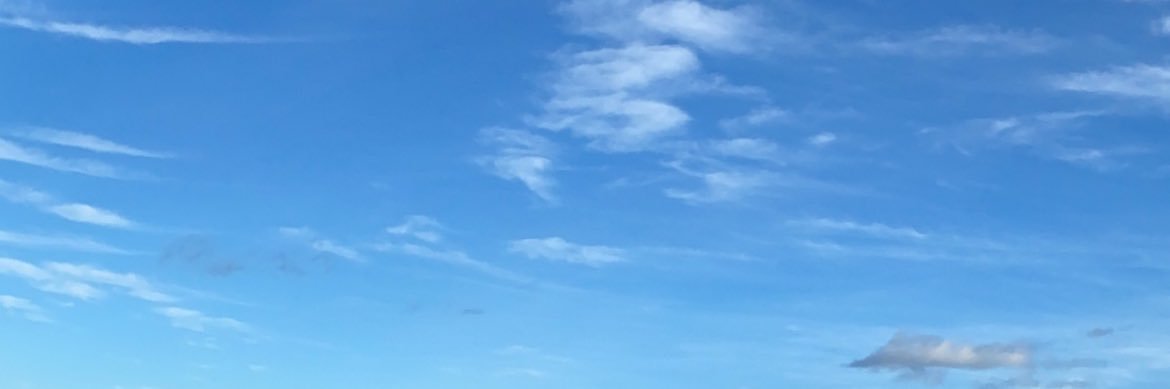 Madison banner
