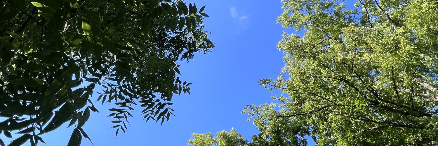 coastisclere's profile banner image