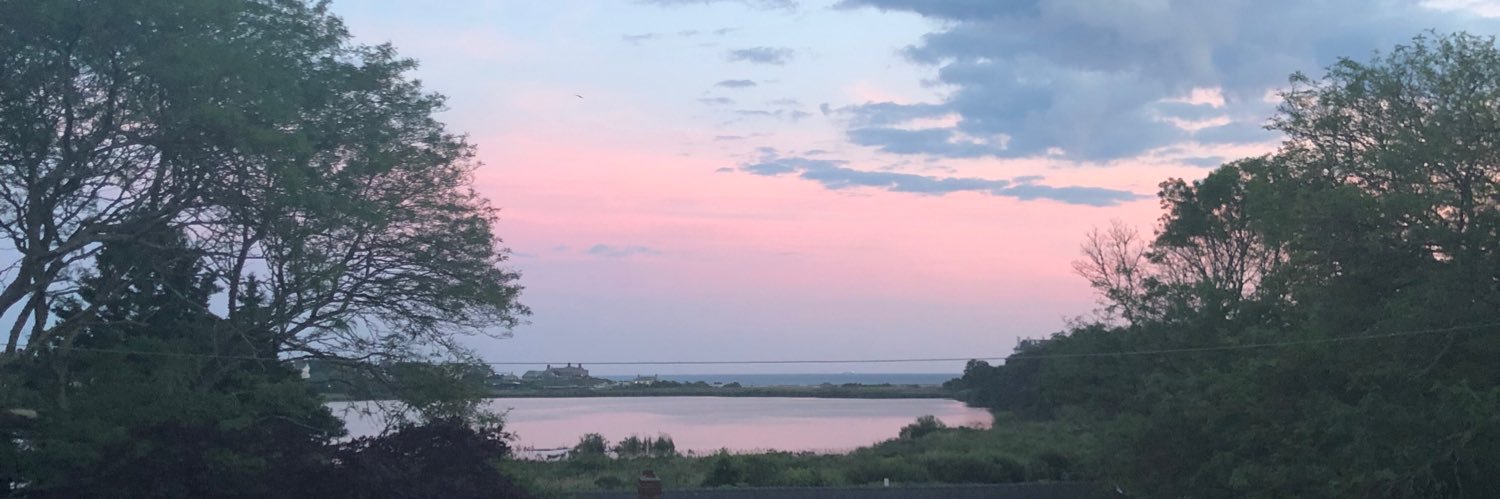 joannehoerrner's profile banner image