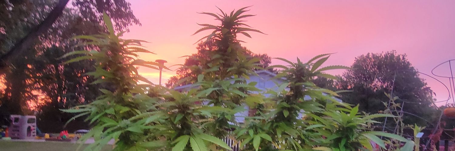 Mom Mom Mary Joan banner