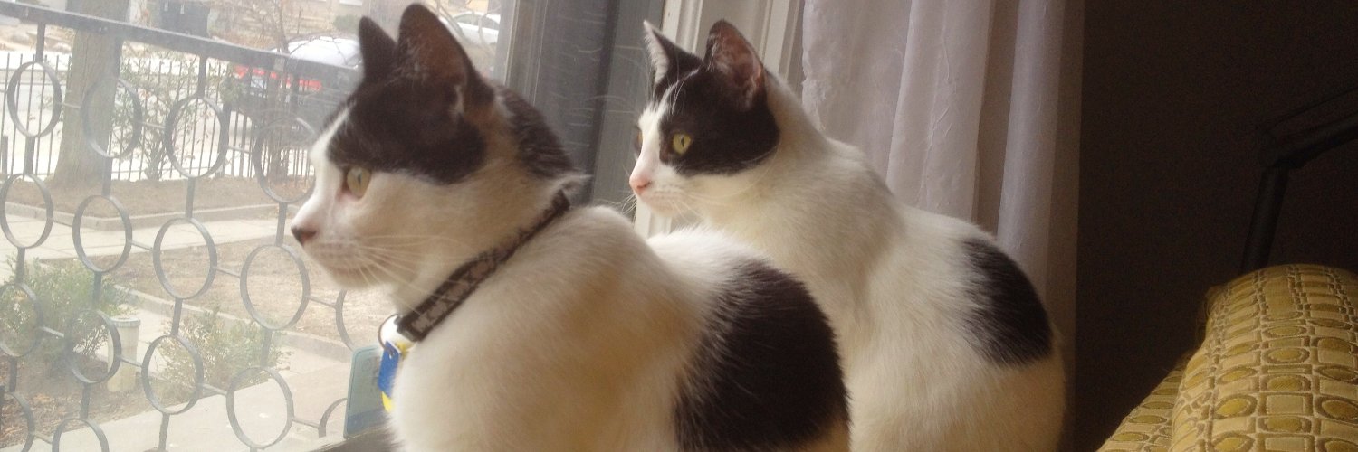 Therese Bernier, PhD banner