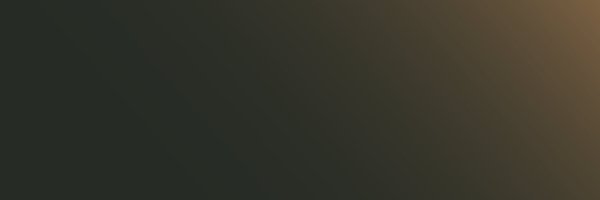 chiefguide_ Profile Banner