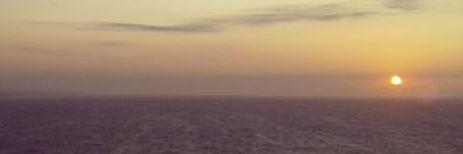 MONICAEVV's profile banner image