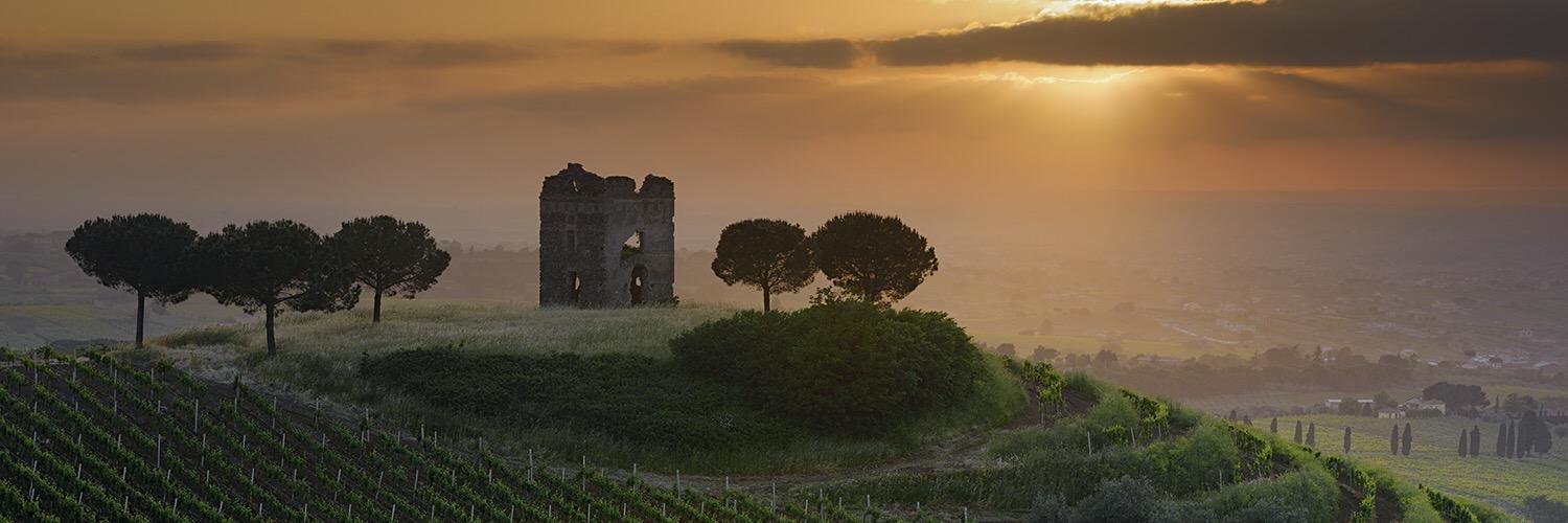TdPallavicini's profile banner image