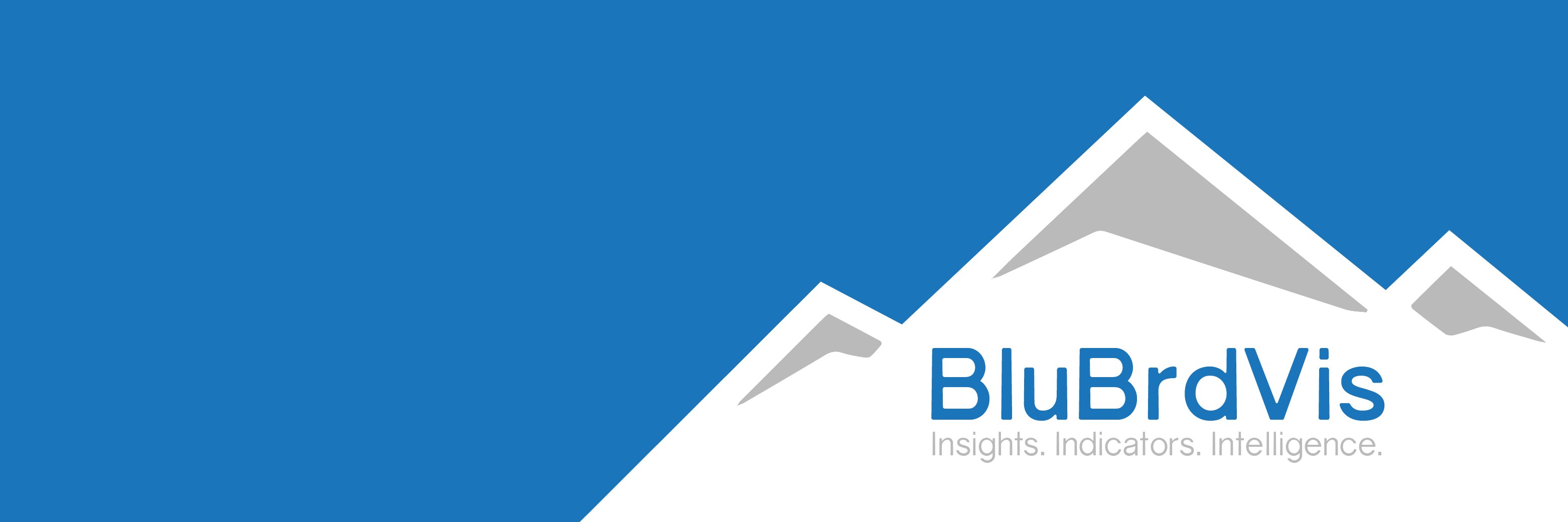BluBrdVis's profile banner image