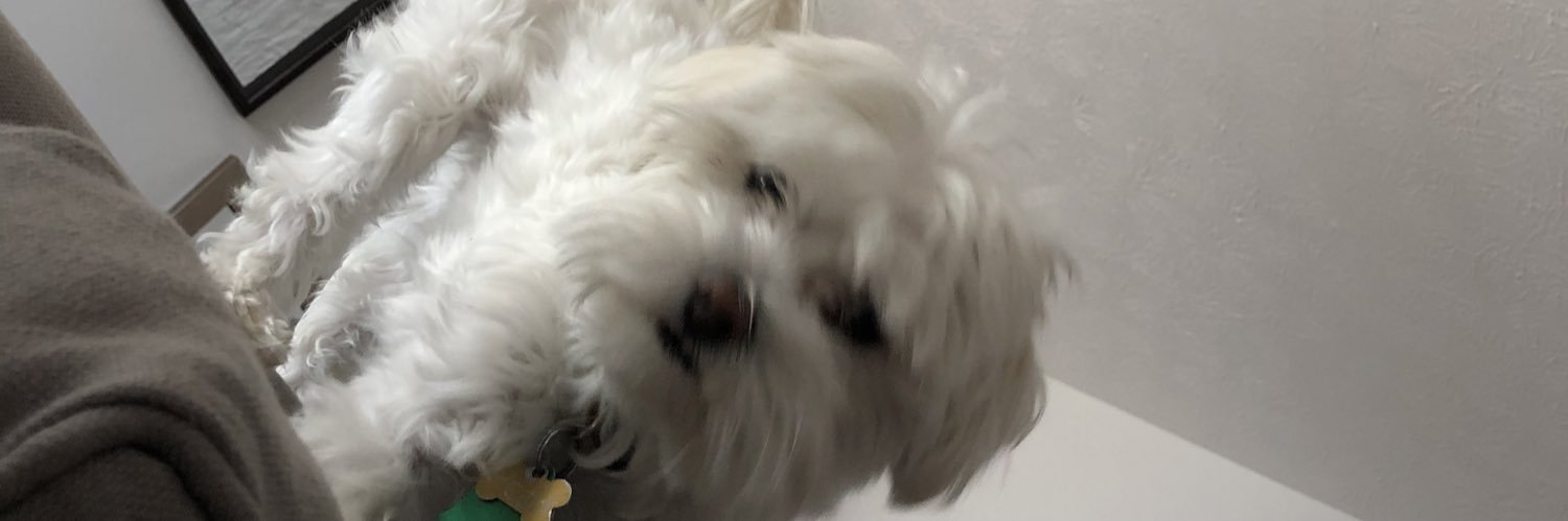 RENProfessional's profile banner image
