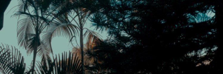 CecyyJaime's profile banner image