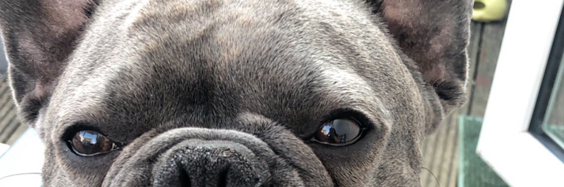 kmcdddd's profile banner image