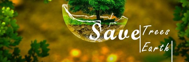 sarmawithyou's profile banner image