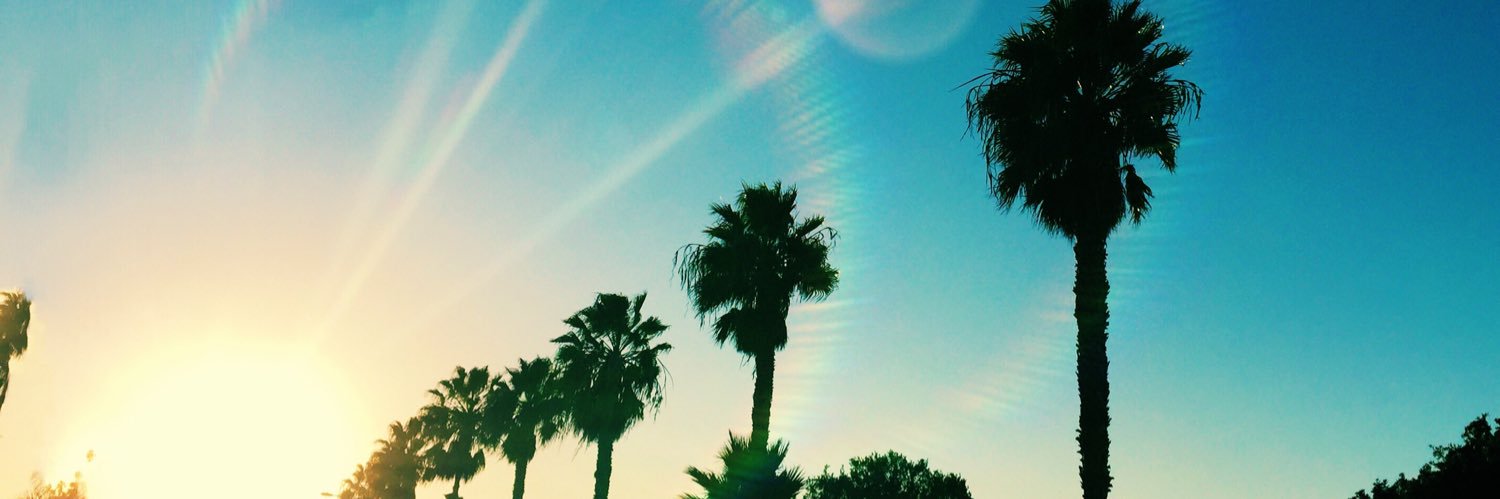 corzalynn's profile banner image