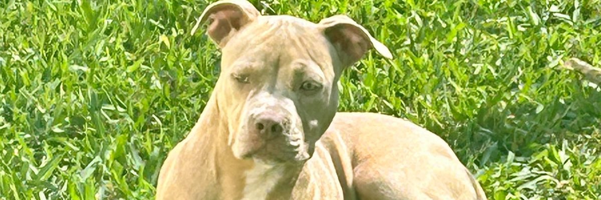 dwainwalters's profile banner image