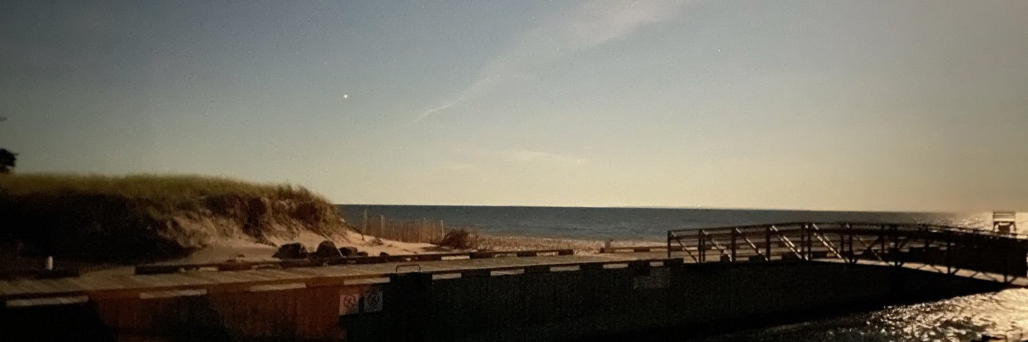 Sophie Helpard banner