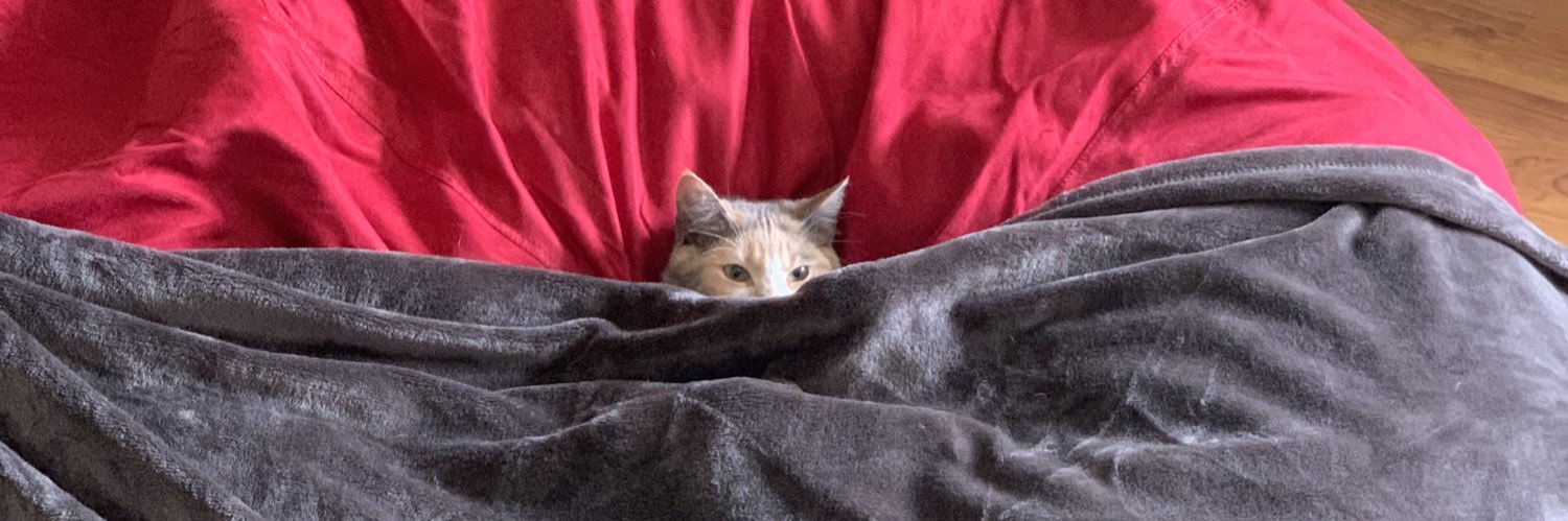 Dana (They/Her) banner