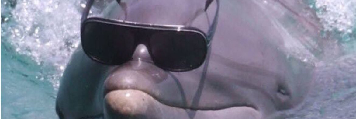 _dabbycat's profile banner image