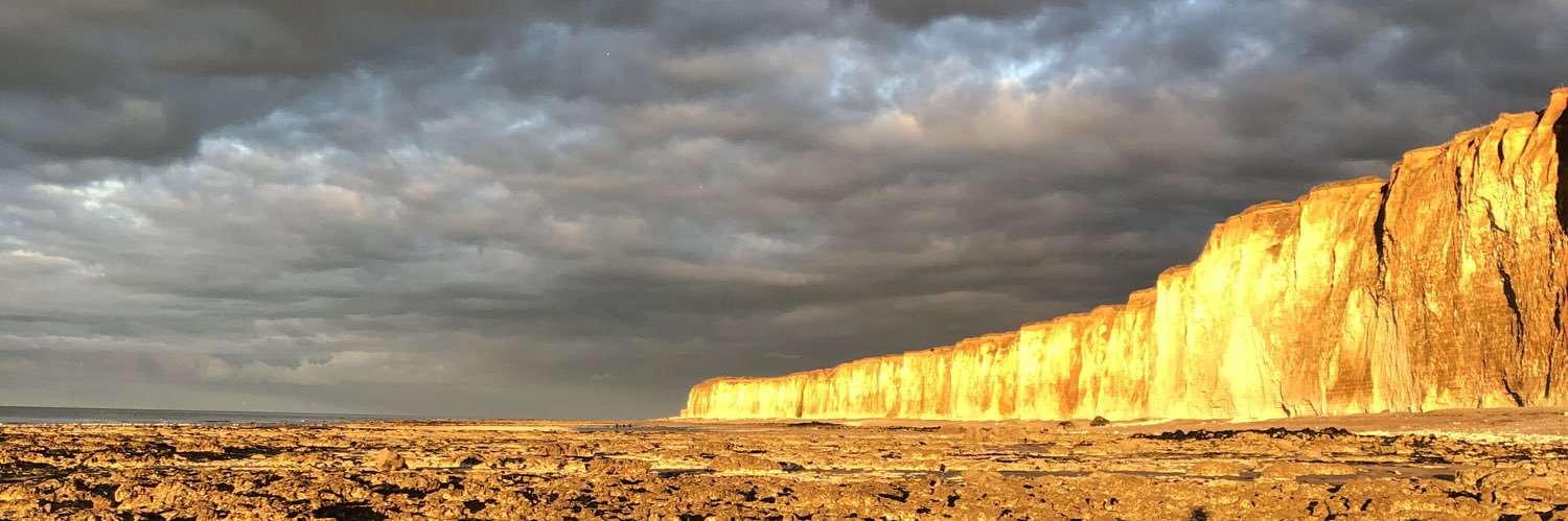 Camille Le Ray banner