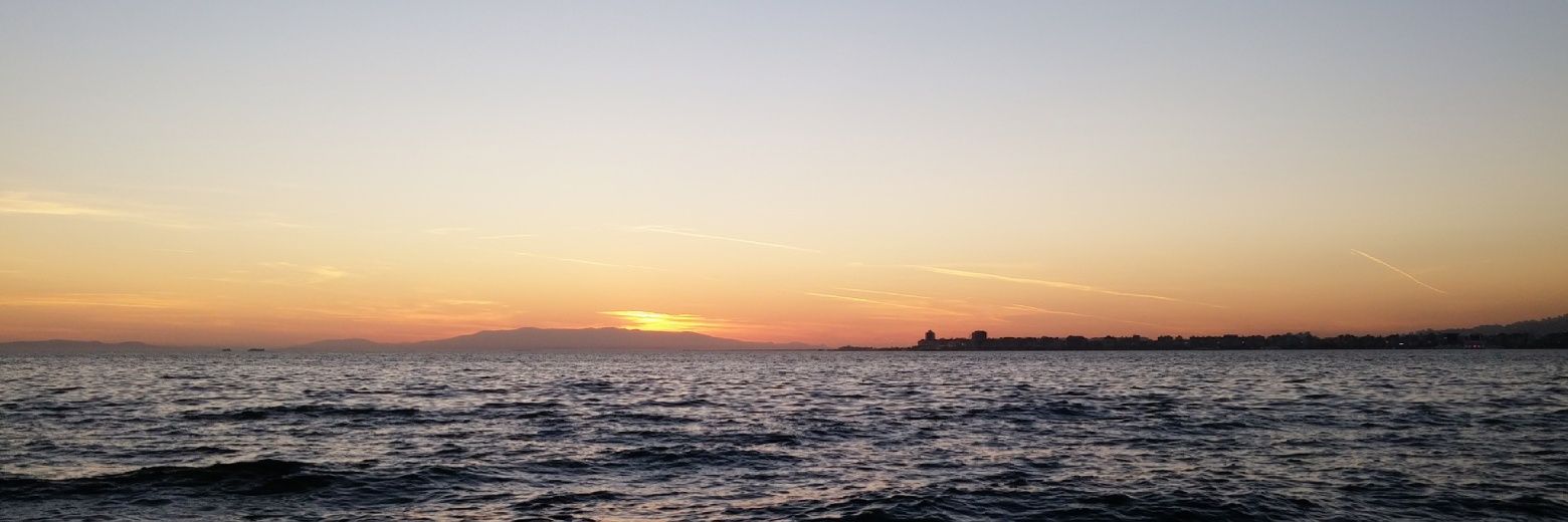 Popüler Twitler banner