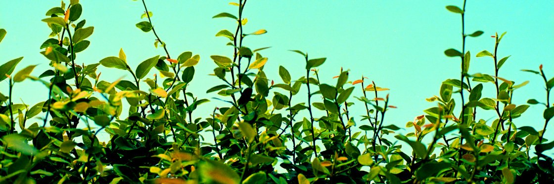 theo_variations's profile banner image