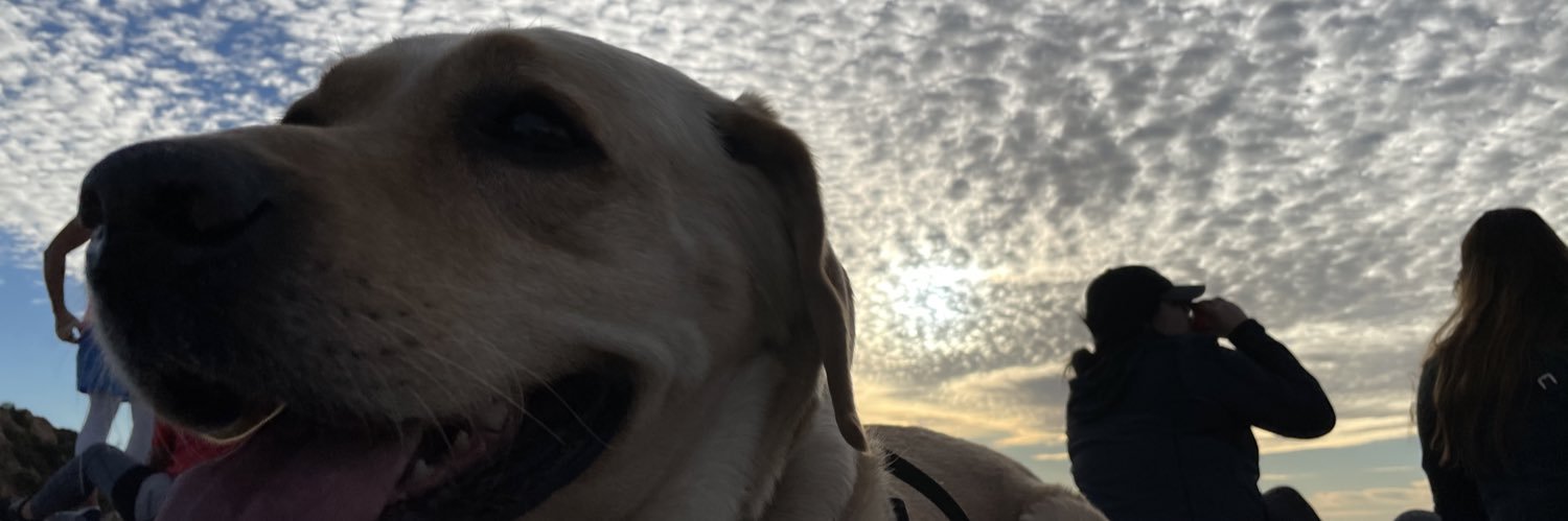 _theRoach's profile banner image