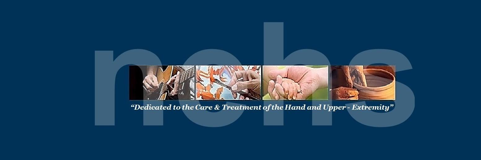 nehandsociety's profile banner image