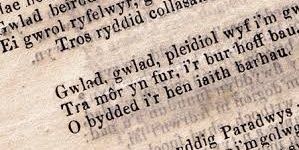 Willows_Welsh's profile banner image