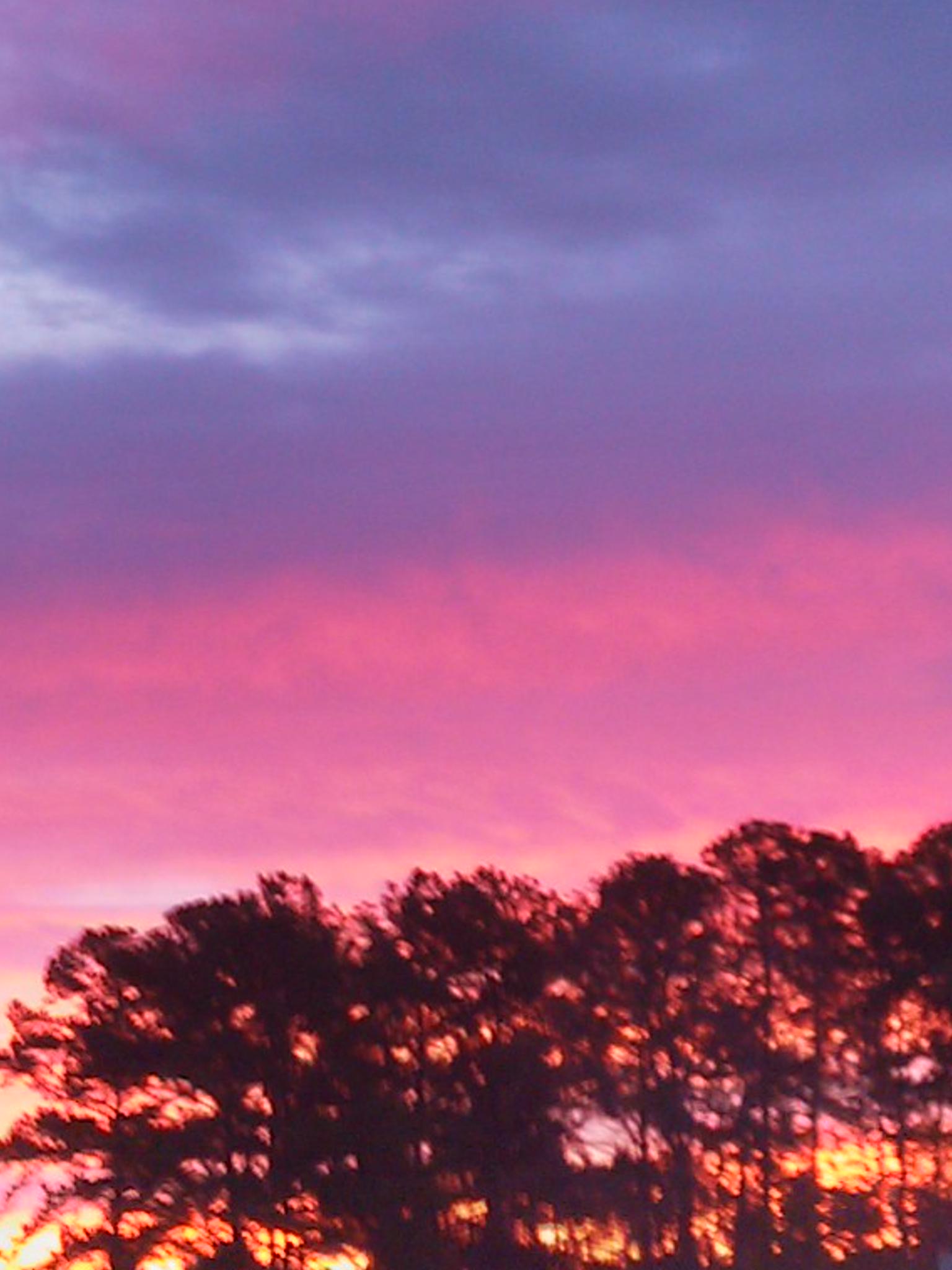 doobcake's profile banner image