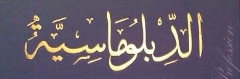 الدبلوماسية banner