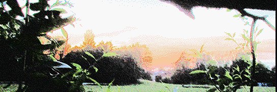 gobiiform_'s profile banner image