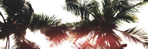 LuxxNP's profile banner image