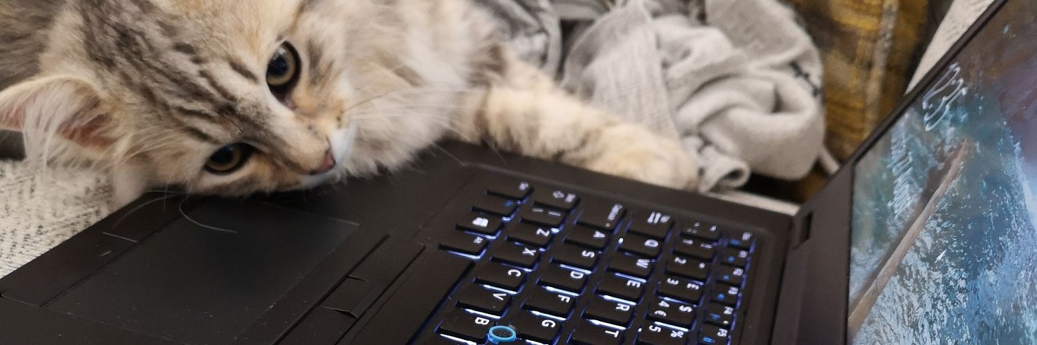 sam_hins's profile banner image