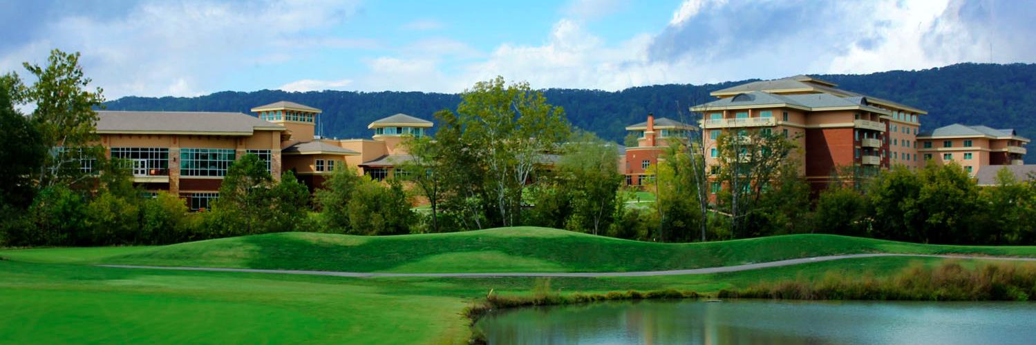 MeadowView Resort banner