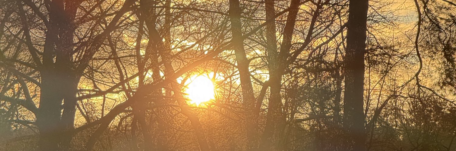 probabilitysci's profile banner image