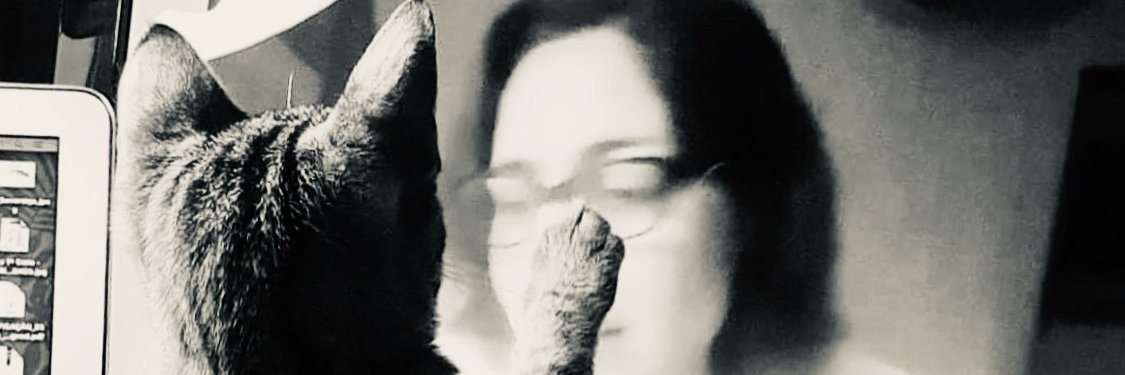 ArezouAzad's profile banner image