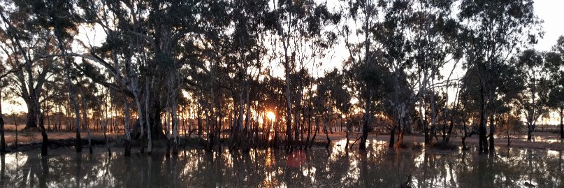 Birgita Hansen banner