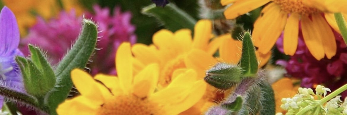 ImhofIngrid's profile banner image