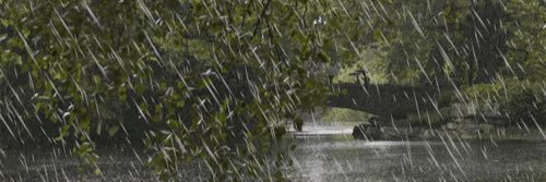 rainsong3's profile banner image