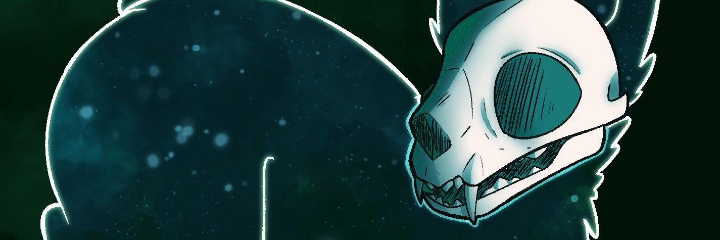 riiminx's profile banner image