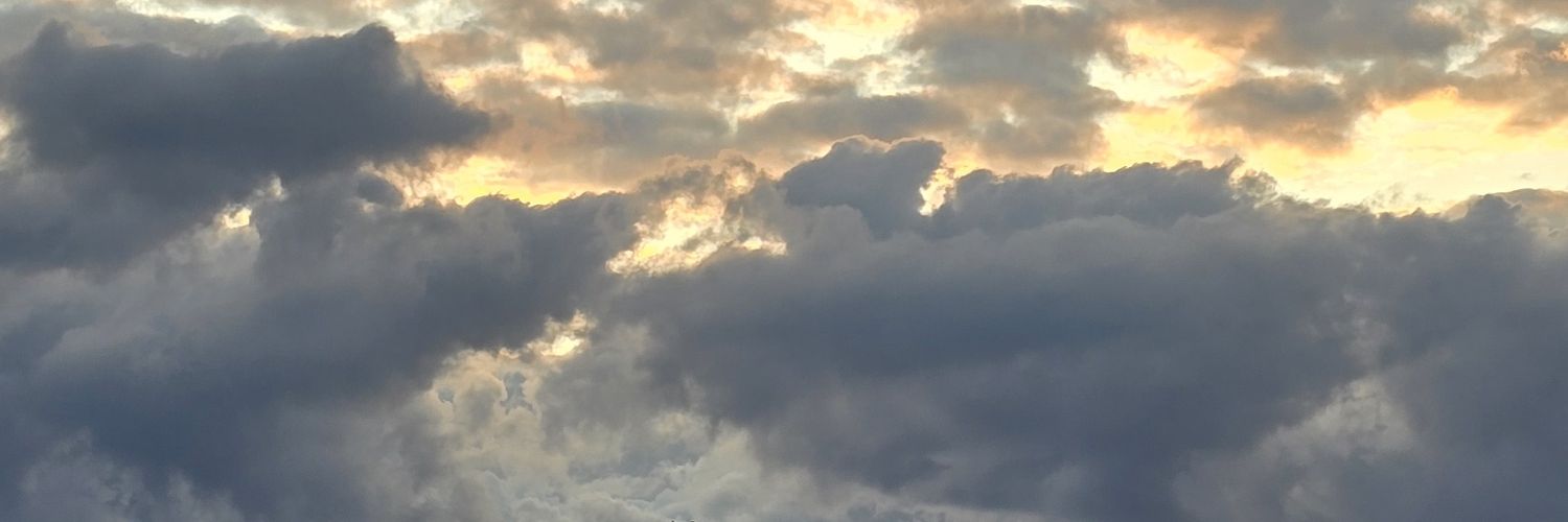 eloquent93's profile banner image