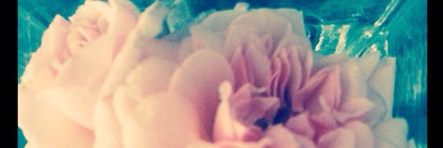 Clara_makeup's profile banner image