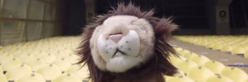 dangozadam31's profile banner image