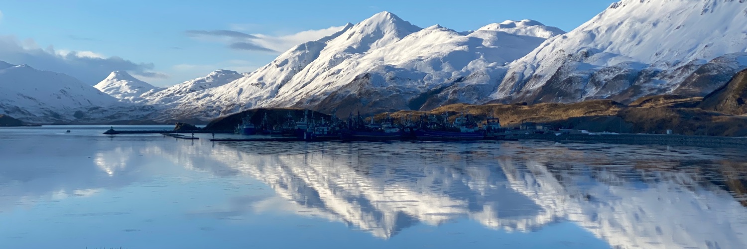 Sarah Spelsberg MD, FAWM, FEWM banner