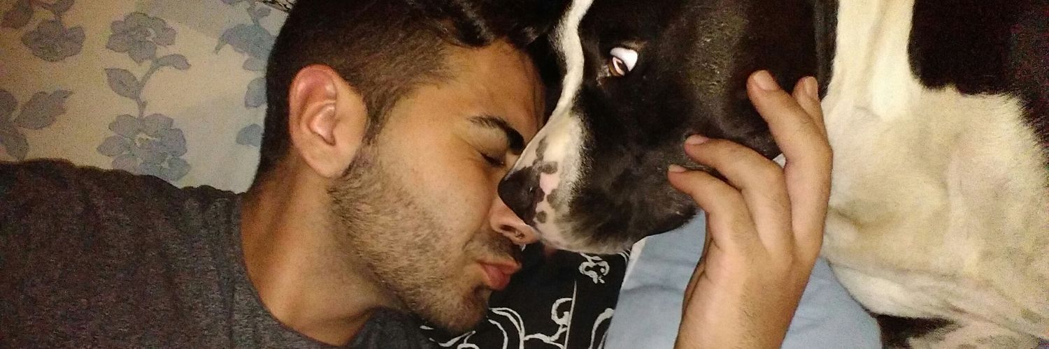 PedroJGSB's profile banner image
