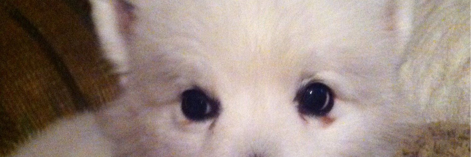 BeattieVicky's profile banner image