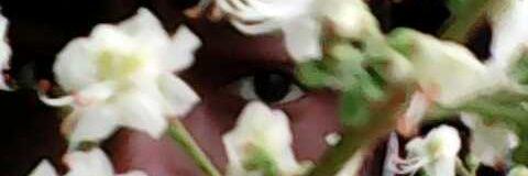dirtydeem's profile banner image