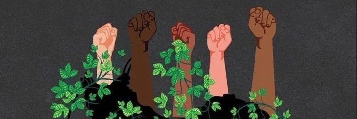 𝑭𝒍𝒆𝒖𝒓 banner